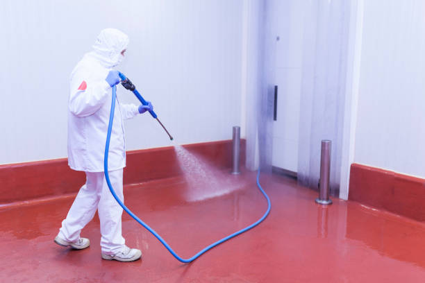 Reliable Brentwood, PA Pressure Washing Services Solutions